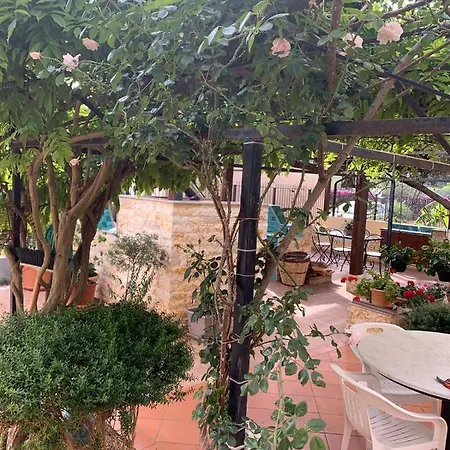 Garden 2017 * Mondello