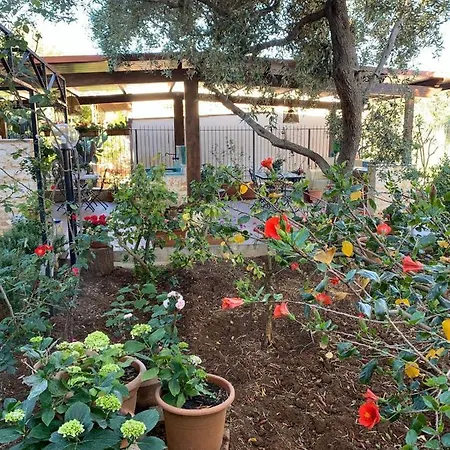 Bed & Breakfast Garden 2017 *